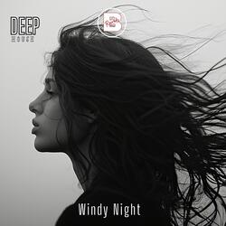Windy Night