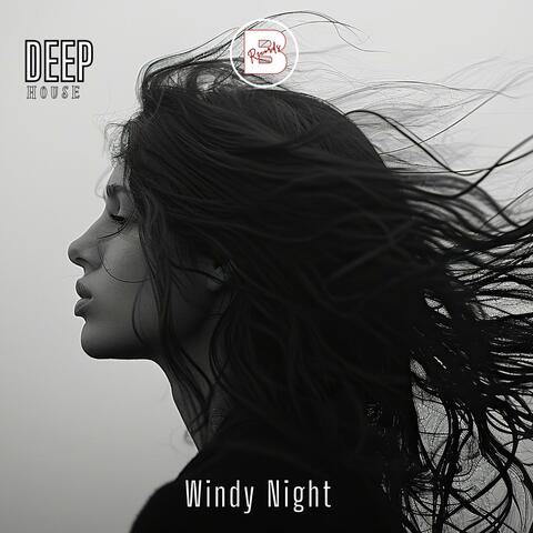 Windy Night