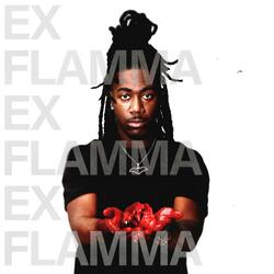 WHO BROUGHT ME IN HERE