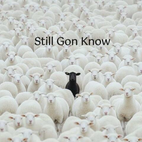 Still Gon Know