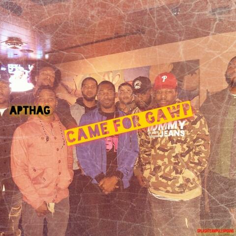 Came for Gawp