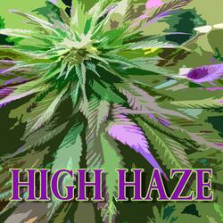 HIGH HAZE