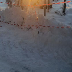 Solen den lyste