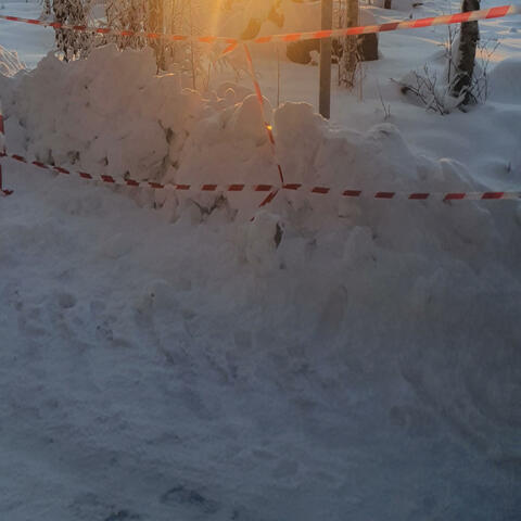 Solen den lyste