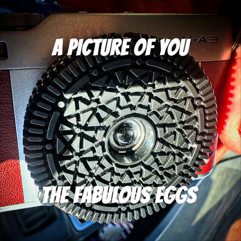 A PICTURE OF YOU
