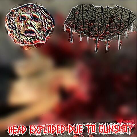 Head Exploded Due To Gunshot (xMxGxPx Side)