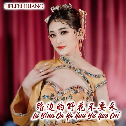 Lu Bian De Ye Hua Bu Yao Cai 路边的野花不要采