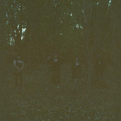 Old Curse