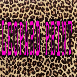 I got leopard print on this her favorite song