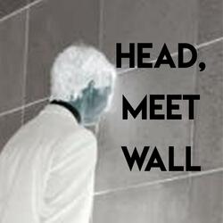 Head, Meet Wall (feat. Mike Mattingley)