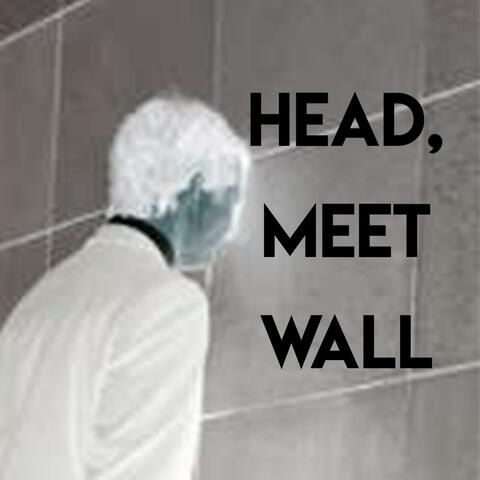 Head, Meet Wall (feat. Mike Mattingley)