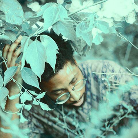 Greenhouse (Deluxe)