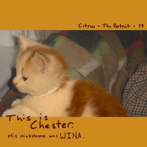 Chester