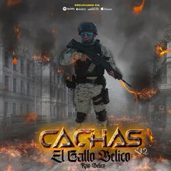 ELEMENTO CACHAS V2