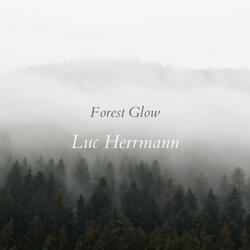 Forest Glow