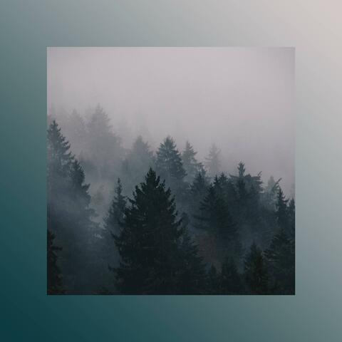 Hidden World