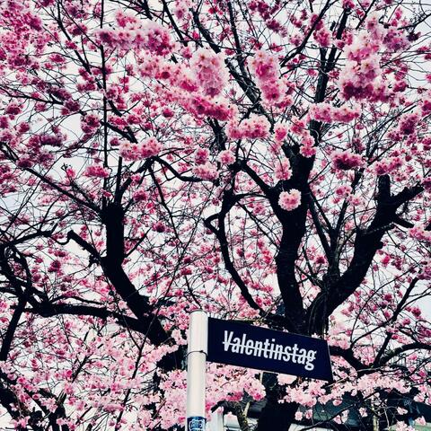 Valentinstag