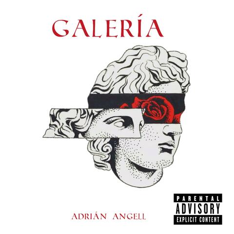 GALERÍA
