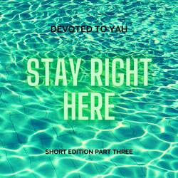 Stay Right Here (short edition 3)