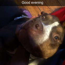 Miles morales (feat. Duce)