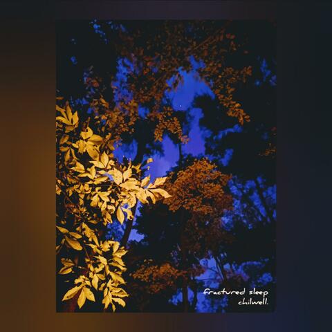 Fractured Sleep
