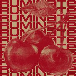 Ruminate
