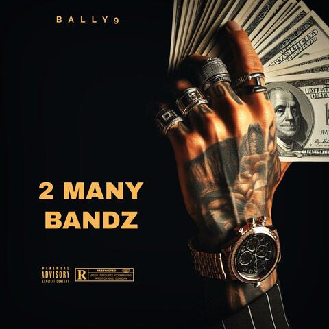 2 MANY BANDZ