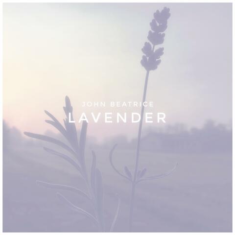 Lavender (Early Version )