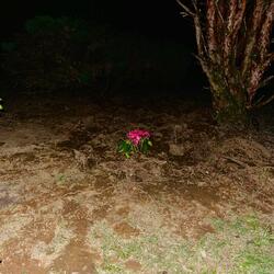 i dont care that much