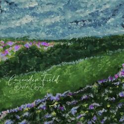 Lavender Field