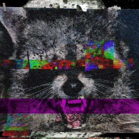 rACco0N.gH0ST.