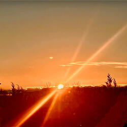 Sunkissed (Demo)