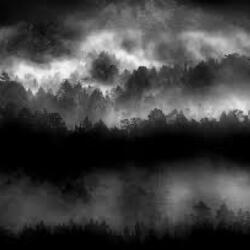 The silence