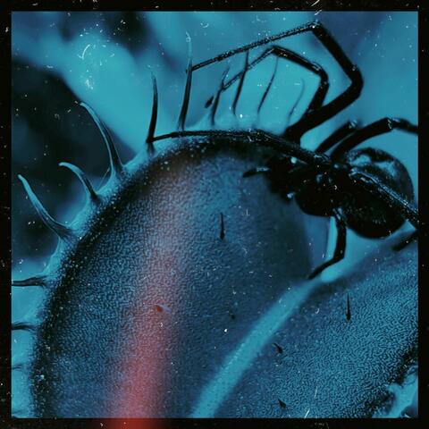 I Hate Being In Love