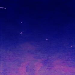 Freedom Of Birds (Club Version)