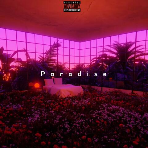 Paradise