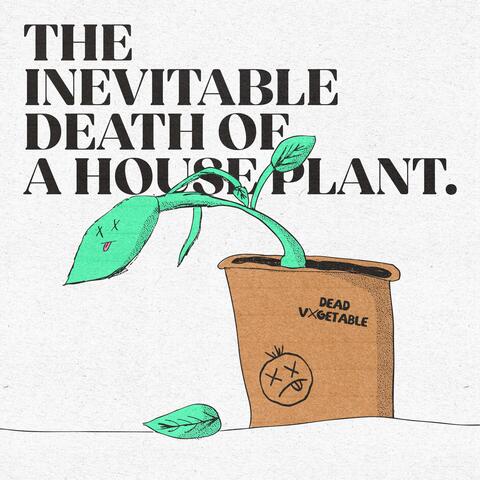 The Inevitable Death Of A House Plant.