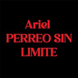 Perreo sin limite