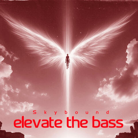 Elevate the Bass