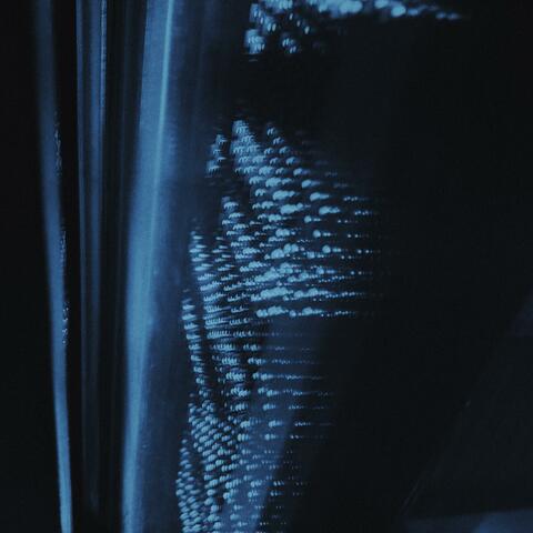 nocturnal resonance.