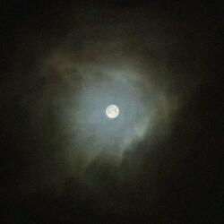 where the moon shines <3