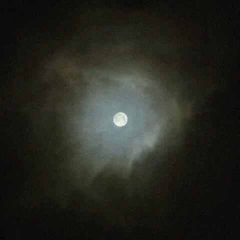where the moon shines <3