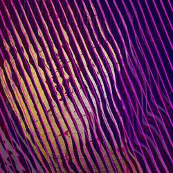 Vagabundo (Radio Edit)