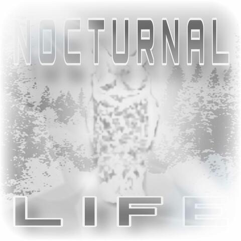 Nocturnal Life