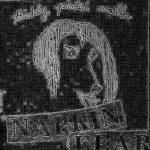 Napkin Fear