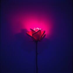 Unsterblich nur durch Dich