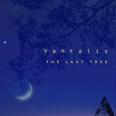The Last Tree