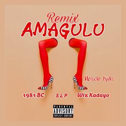 Amagulu remix (feat. Wiz Kadayo, S L P & Mozelo Kidz)