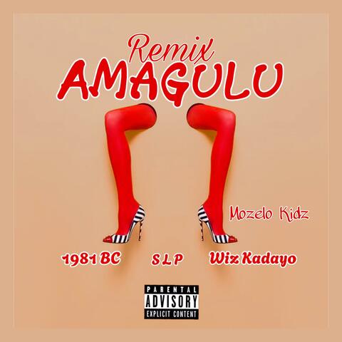 Amagulu remix (feat. Wiz Kadayo, S L P & Mozelo Kidz)