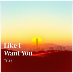 Like I Want You